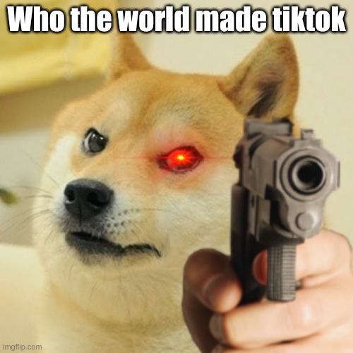 Who made tiktok | Who the world made tiktok | image tagged in doge pointing gun meme template | made w/ Imgflip meme maker