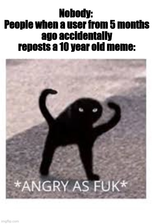 Angery as Fuk | Nobody: 
People when a user from 5 months ago accidentally reposts a 10 year old meme: | image tagged in angery as fuk | made w/ Imgflip meme maker