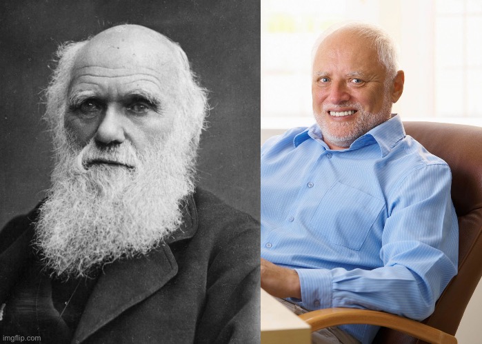 image tagged in charles darwin,hide the pain harold | made w/ Imgflip meme maker