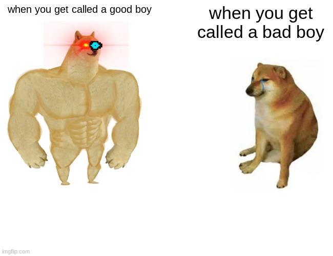 Buff Doge vs. Cheems | when you get called a good boy; when you get called a bad boy | image tagged in memes,buff doge vs cheems | made w/ Imgflip meme maker