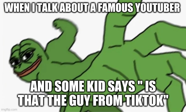 pepe punch | WHEN I TALK ABOUT A FAMOUS YOUTUBER; AND SOME KID SAYS " IS THAT THE GUY FROM TIKTOK" | image tagged in pepe punch | made w/ Imgflip meme maker