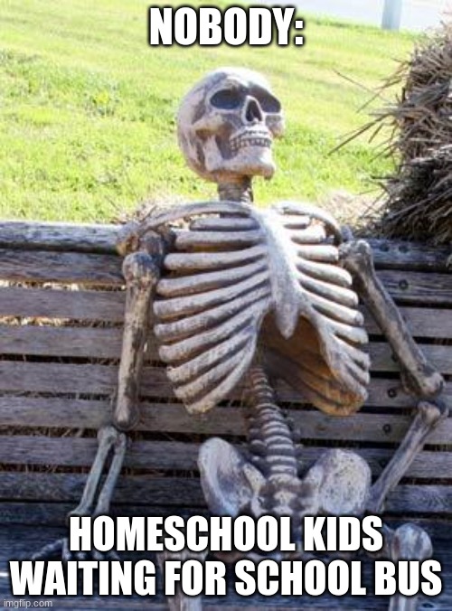 Nice | NOBODY:; HOMESCHOOL KIDS WAITING FOR SCHOOL BUS | image tagged in memes,waiting skeleton | made w/ Imgflip meme maker