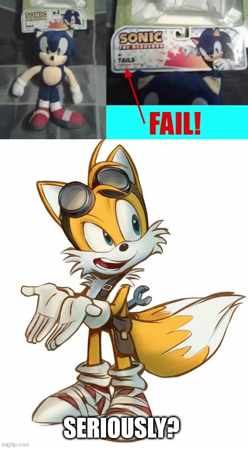 hem-hem, that is not tails! | SERIOUSLY? | image tagged in you had one job just the one,wow you failed this job | made w/ Imgflip meme maker
