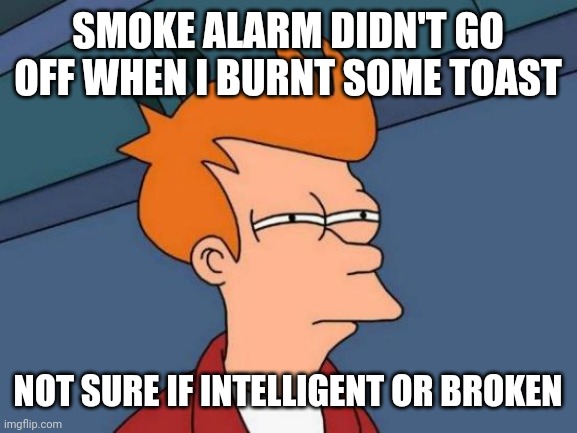 Smoke Alarm VS Burnt Toast | SMOKE ALARM DIDN'T GO OFF WHEN I BURNT SOME TOAST; NOT SURE IF INTELLIGENT OR BROKEN | image tagged in memes,futurama fry | made w/ Imgflip meme maker