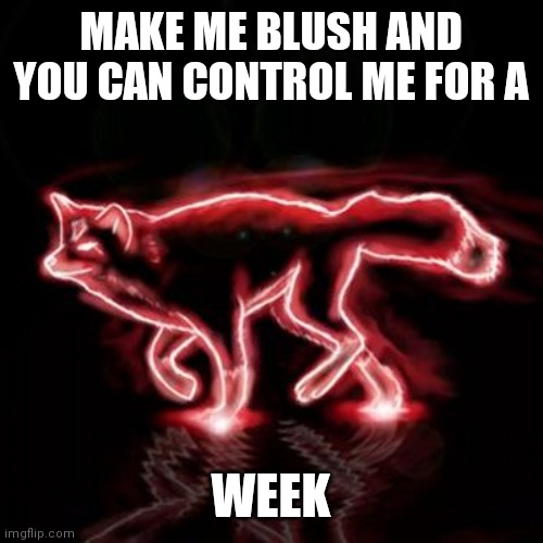 Glow Fox | MAKE ME BLUSH AND YOU CAN CONTROL ME FOR A; WEEK | image tagged in glow fox | made w/ Imgflip meme maker
