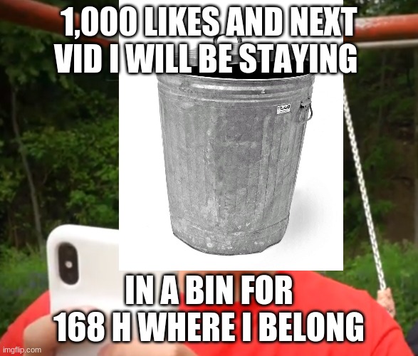 1,000 LIKES AND NEXT VID I WILL BE STAYING; IN A BIN FOR 168 H WHERE I BELONG | image tagged in morgz | made w/ Imgflip meme maker