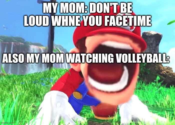 Mario screaming | MY MOM: DON'T BE LOUD WHNE YOU FACETIME; ALSO MY MOM WATCHING VOLLEYBALL: | image tagged in mario screaming | made w/ Imgflip meme maker