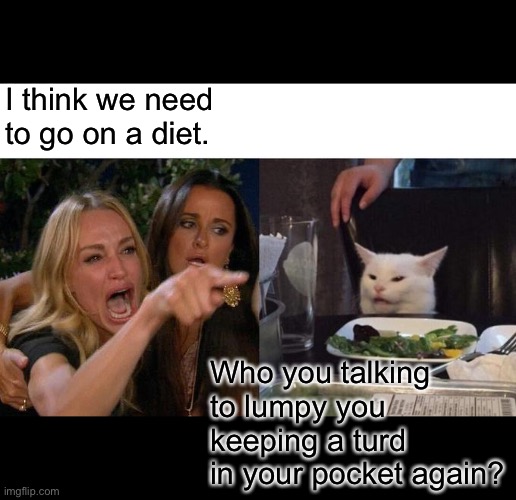 Woman yelling at cat |  I think we need to go on a diet. Who you talking to lumpy you keeping a turd in your pocket again? | image tagged in memes,woman yelling at cat | made w/ Imgflip meme maker
