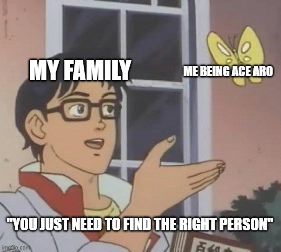 NO I DONT | MY FAMILY; ME BEING ACE ARO; "YOU JUST NEED TO FIND THE RIGHT PERSON" | image tagged in memes,is this a pigeon | made w/ Imgflip meme maker