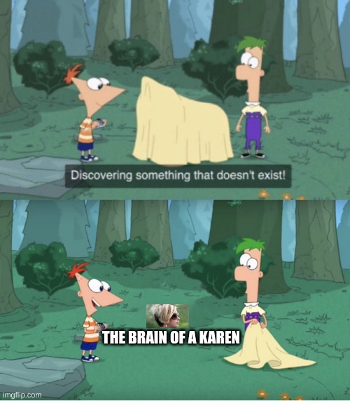 Discovering Something That Doesn’t Exist | THE BRAIN OF A KAREN | image tagged in discovering something that doesn t exist,karen,memes,brain | made w/ Imgflip meme maker