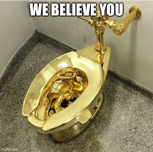 Gold Toilet | WE BELIEVE YOU | image tagged in gold toilet | made w/ Imgflip meme maker