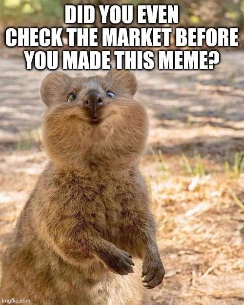Crazy Wombat | DID YOU EVEN CHECK THE MARKET BEFORE YOU MADE THIS MEME? | image tagged in crazy wombat | made w/ Imgflip meme maker