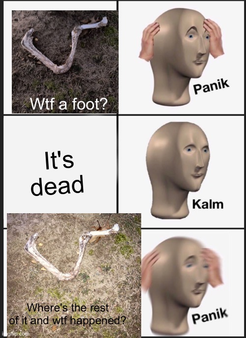 Found this in the park behind the yard today | Wtf a foot? It's dead; Where's the rest of it and wtf happened? | image tagged in memes,panik kalm panik,foot,dead body reported,deer,backyard | made w/ Imgflip meme maker