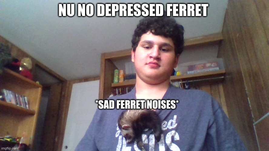 NU NO DEPRESSED FERRET; *SAD FERRET NOISES* | made w/ Imgflip meme maker