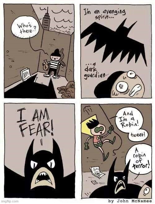 Yeah that sounds scary... | image tagged in comics/cartoons,comics,batman,robin | made w/ Imgflip meme maker