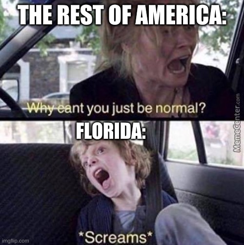 Florida: *screams in Florida* | THE REST OF AMERICA:; FLORIDA: | image tagged in why can't you just be normal | made w/ Imgflip meme maker