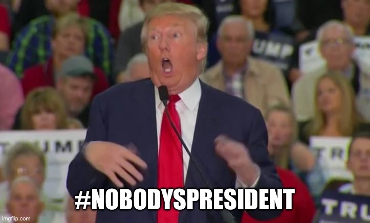 Trump No Body’s President | #NOBODYSPRESIDENT | image tagged in donald trump mocking disabled,donald trump,not my president | made w/ Imgflip meme maker