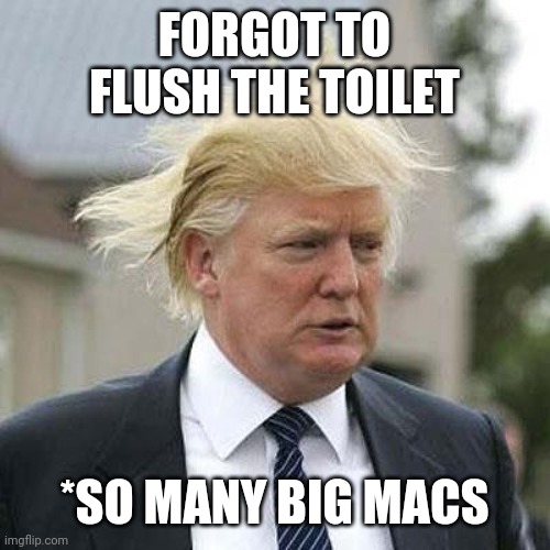 Donald Trump | FORGOT TO FLUSH THE TOILET; *SO MANY BIG MACS | image tagged in donald trump | made w/ Imgflip meme maker