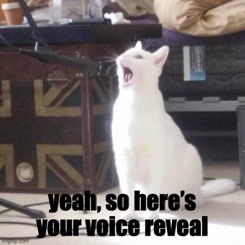 wait what | yeah, so here’s your voice reveal | made w/ Imgflip meme maker