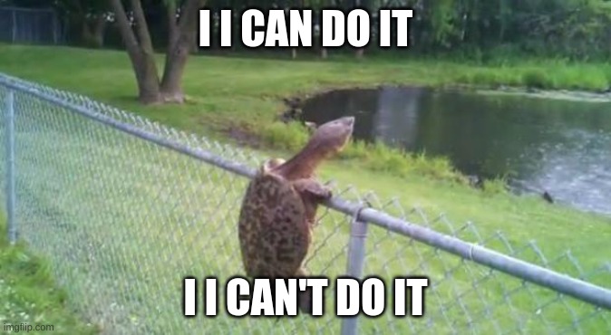 turtle fence escape | I I CAN DO IT; I I CAN'T DO IT | image tagged in turtle fence escape | made w/ Imgflip meme maker