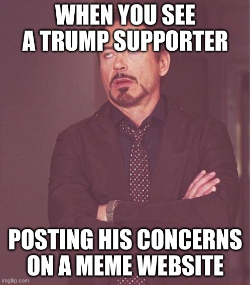 Face You Make Robert Downey Jr Meme | WHEN YOU SEE A TRUMP SUPPORTER POSTING HIS CONCERNS ON A MEME WEBSITE | image tagged in memes,face you make robert downey jr | made w/ Imgflip meme maker
