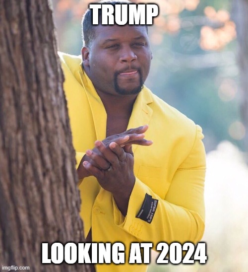 Trump on 2024 | TRUMP; LOOKING AT 2024 | image tagged in black guy hiding behind tree | made w/ Imgflip meme maker
