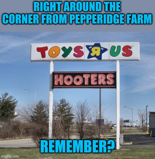 One stop shopping | RIGHT AROUND THE CORNER FROM PEPPERIDGE FARM; REMEMBER? | image tagged in memes,hooters,toyzwereus | made w/ Imgflip meme maker