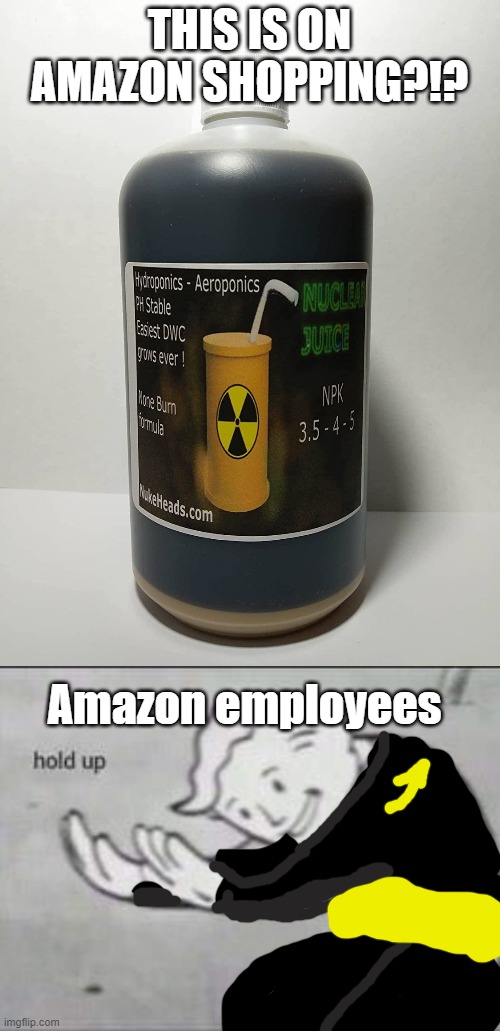 THIS IS ON AMAZON SHOPPING?!? Amazon employees | image tagged in fallout hold up | made w/ Imgflip meme maker