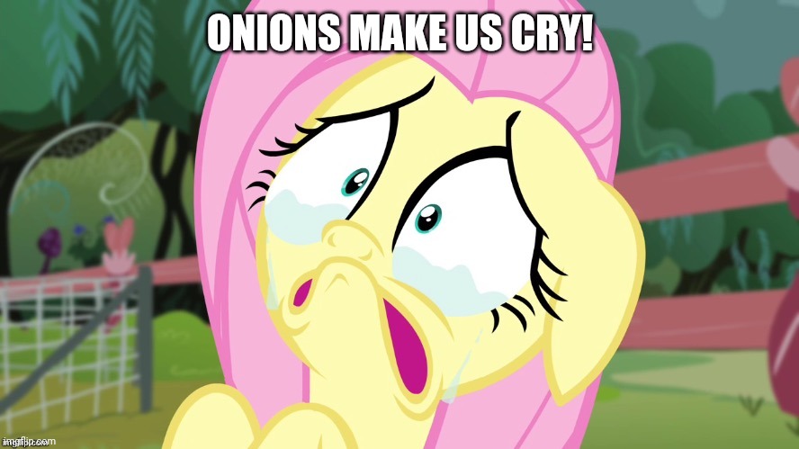Crying Fluttershy | ONIONS MAKE US CRY! | image tagged in crying fluttershy | made w/ Imgflip meme maker