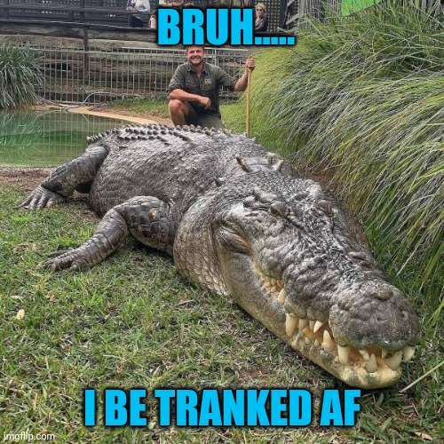 Croc Trafficking | BRUH..... I BE TRANKED AF | image tagged in memes,corcodile | made w/ Imgflip meme maker