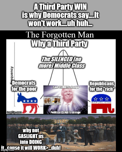 Liberals FEAR a Third Party | A Third Party WIN is why Democrats say....It won't work....uh huh... why not GASLIGHT us into DOING it...cause it will WORK>...duh! | image tagged in third party,trumpublican,biden,election fraud,antifa | made w/ Imgflip meme maker