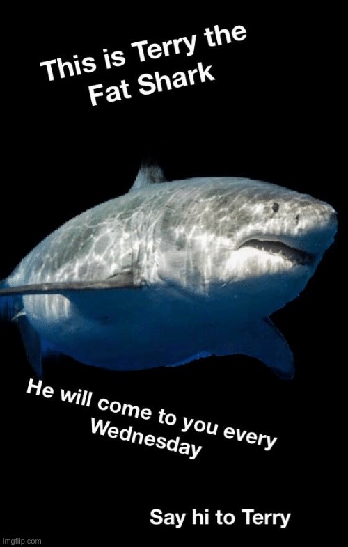 Hi Terry! | made w/ Imgflip meme maker