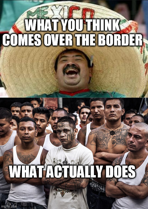 WHAT YOU THINK COMES OVER THE BORDER; WHAT ACTUALLY DOES | image tagged in mexican word of the day,ms-13 dreamers daca | made w/ Imgflip meme maker