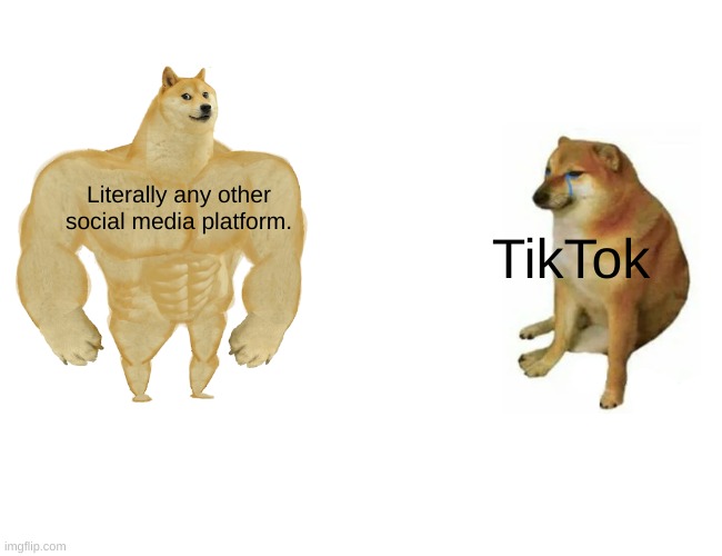 Hey i'm back online :D | Literally any other social media platform. TikTok | image tagged in memes,buff doge vs cheems | made w/ Imgflip meme maker