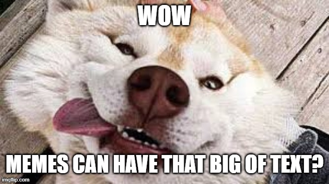 blown away dog | WOW MEMES CAN HAVE THAT BIG OF TEXT? | image tagged in blown away dog | made w/ Imgflip meme maker