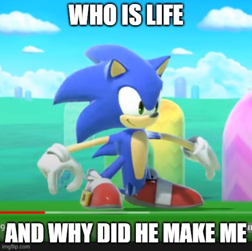 contemplating sonic | WHO IS LIFE; AND WHY DID HE MAKE ME | image tagged in super smash bros,sonic the hedgehog | made w/ Imgflip meme maker