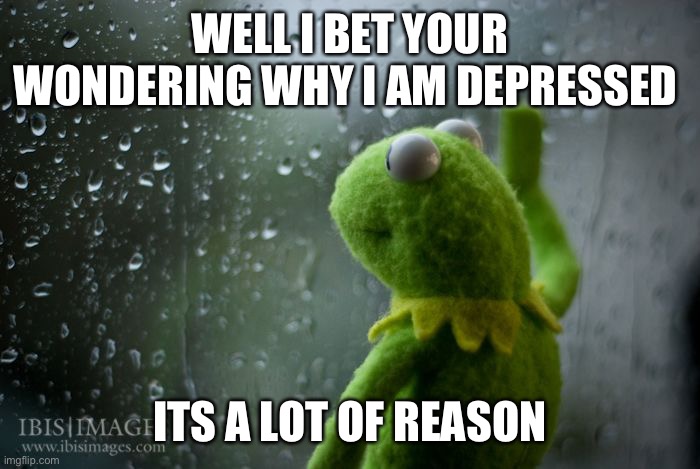 kermit window | WELL I BET YOUR WONDERING WHY I AM DEPRESSED; ITS A LOT OF REASON | image tagged in kermit window | made w/ Imgflip meme maker