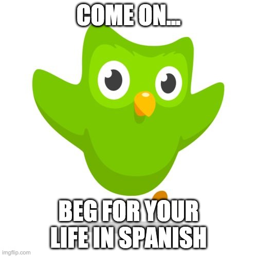 Duo lingo bird revenge | COME ON... BEG FOR YOUR LIFE IN SPANISH | image tagged in things duolingo teaches you | made w/ Imgflip meme maker