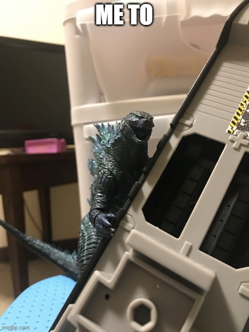 Godzilla has heard what he needs to hear | ME TO | image tagged in godzilla has heard what he needs to hear | made w/ Imgflip meme maker