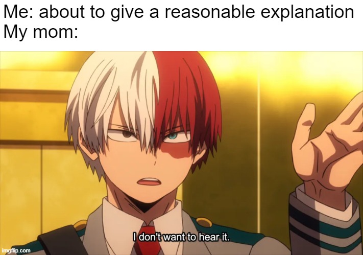 Yay new template! | Me: about to give a reasonable explanation
My mom: | image tagged in parents,i don't want to hear it todoroki | made w/ Imgflip meme maker