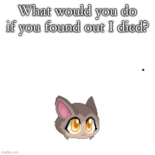 Peeko | What would you do if you found out I died? | image tagged in peeko | made w/ Imgflip meme maker