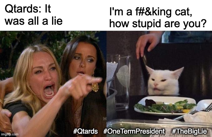 Hmmm... I remembered one of you said you'd eat your shoe... where are you? | Qtards: It was all a lie; I'm a f#&king cat, how stupid are you? #Qtards   #OneTermPresident    #TheBigLie | image tagged in woman yelling at cat,trump,loser,failure,qanon,terrorist | made w/ Imgflip meme maker