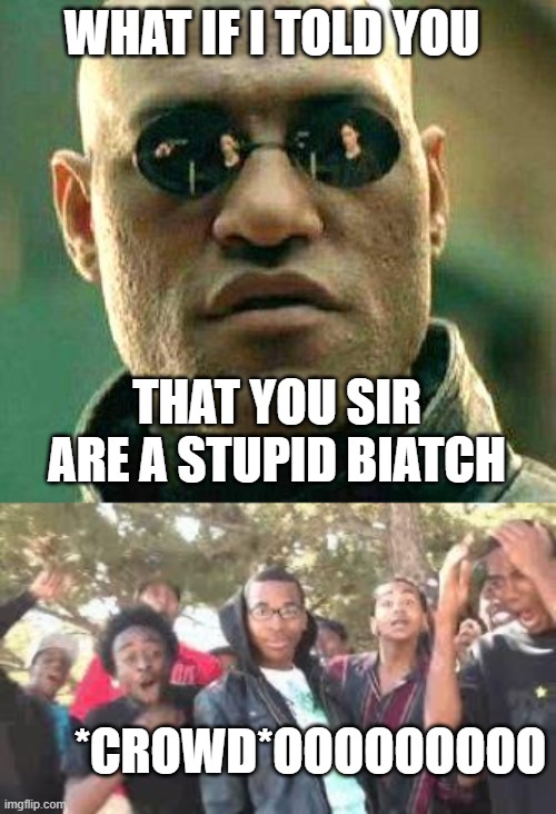 WHAT IF I TOLD YOU; THAT YOU SIR ARE A STUPID BIATCH; *CROWD*OOOOOOOOO | image tagged in what if i told you,supa hot fire | made w/ Imgflip meme maker