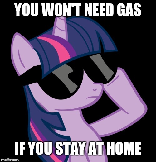 Twilight with shades | YOU WON'T NEED GAS IF YOU STAY AT HOME | image tagged in twilight with shades | made w/ Imgflip meme maker