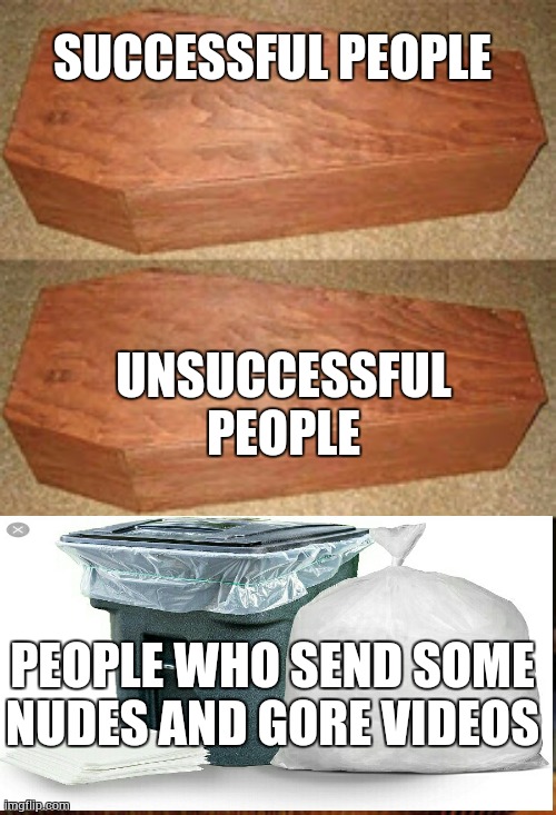 this is serious | SUCCESSFUL PEOPLE; UNSUCCESSFUL PEOPLE; PEOPLE WHO SEND SOME NUDES AND GORE VIDEOS | image tagged in golden coffin meme | made w/ Imgflip meme maker