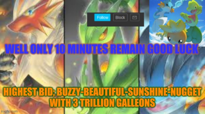 hoenn mega starters announcement | WELL ONLY 10 MINUTES REMAIN GOOD LUCK; HIGHEST BID; BUZZY-BEAUTIFUL-SUNSHINE-NUGGET WITH 3 TRILLION GALLEONS | image tagged in hoenn mega starters announcement | made w/ Imgflip meme maker