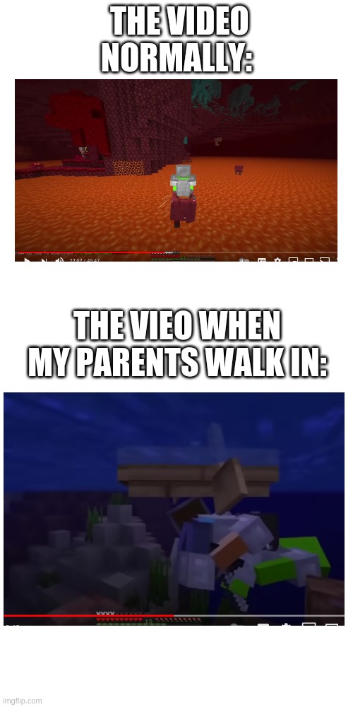 the video whe my parents walk in |  THE VIDEO NORMALLY:; THE VIEO WHEN MY PARENTS WALK IN: | image tagged in dream,minecraft,the video when my parents walk in | made w/ Imgflip meme maker