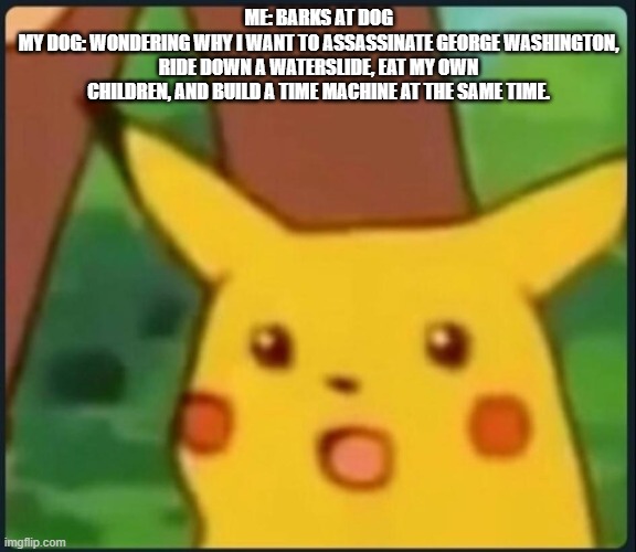 Surprised Pikachu | ME: BARKS AT DOG
MY DOG: WONDERING WHY I WANT TO ASSASSINATE GEORGE WASHINGTON, RIDE DOWN A WATERSLIDE, EAT MY OWN CHILDREN, AND BUILD A TIME MACHINE AT THE SAME TIME. | image tagged in surprised pikachu | made w/ Imgflip meme maker