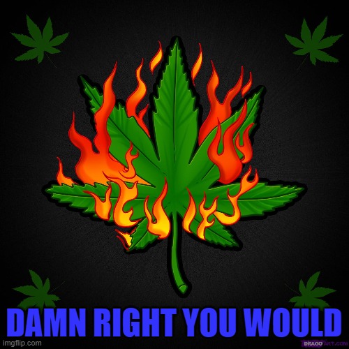 DAMN RIGHT YOU WOULD | made w/ Imgflip meme maker