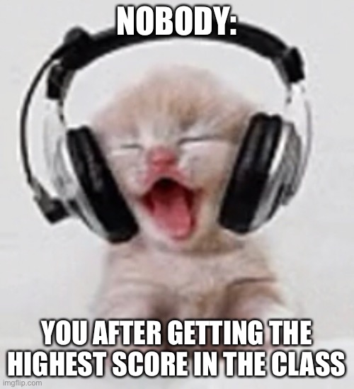 NOBODY:; YOU AFTER GETTING THE HIGHEST SCORE IN THE CLASS | image tagged in funny memes | made w/ Imgflip meme maker